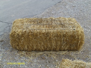 A good example of a square bale.